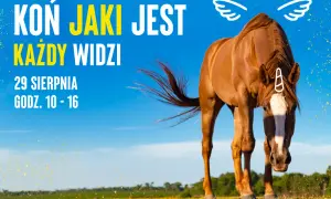 Koń jaki jest każdy widzi – odkryj jego ukrytą symbolikę w kulturze