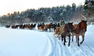 Stadnina koni huculskich w Regietowie - odkryj tajemnice największej hodowli