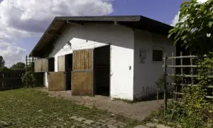 Najlepsze stadniny koni w Częstochowie - gdzie warto jeździć?