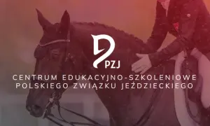 Akademia jeździectwa: Jak wybrać najlepsze kursy i warsztaty?
