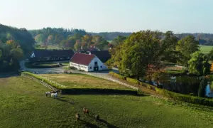 Stadniny na sprzedaż - idealne miejsce dla miłośników koni i przyrody