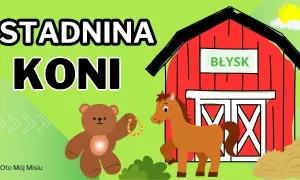 Stadnina koni Bajka w Wolbromie - odkryj wyjątkowe usługi jeździeckie
