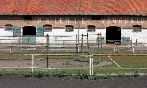 Kadyny stadnina koni - odkryj fascynującą historię i atrakcje