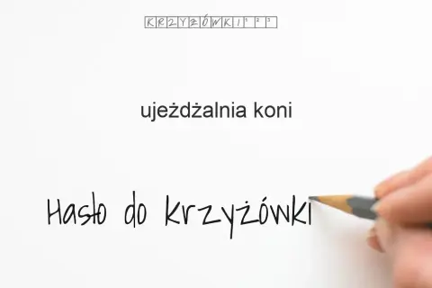 Ujeżdżalnia w stadninie koni – kluczowe informacje i definicje