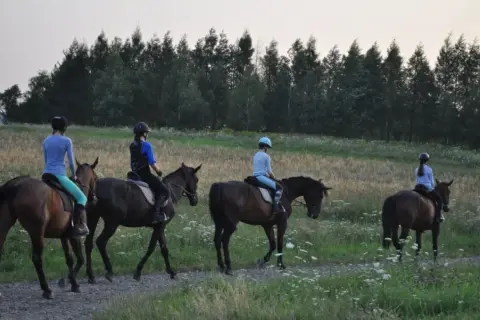 Zawody w jeździectwie w Polsce: jak uczestniczyć i co zobaczyć