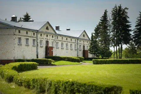 Stadnina koni Białka – wyjątkowe konie arabskie i małopolskie w hodowli