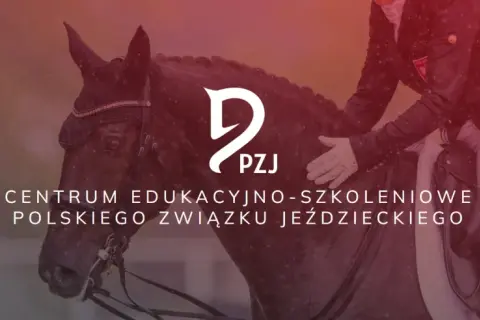 Akademia jeździectwa: Jak wybrać najlepsze kursy i warsztaty?