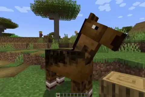 Jak się oswaja konia w Minecrafcie - proste kroki, które działają