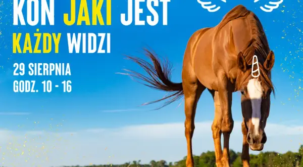 Koń jaki jest każdy widzi – odkryj jego ukrytą symbolikę w kulturze