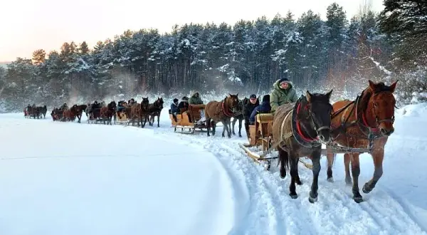 Stadnina koni huculskich w Regietowie - odkryj tajemnice największej hodowli