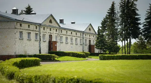 Stadnina koni Białka – wyjątkowe konie arabskie i małopolskie w hodowli