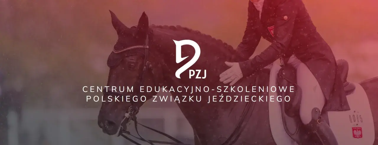 Akademia Jeździecka Prima – wyjątkowe programy jazdy konnej dla każdego