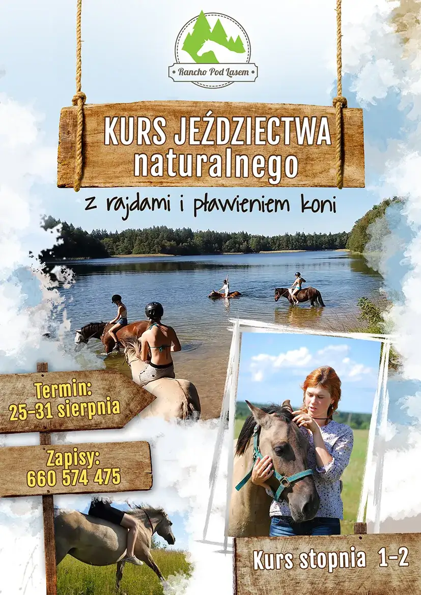 Zdjęcie Jeździectwo naturalne: Odkryj sekrety harmonijnej pracy z koniem