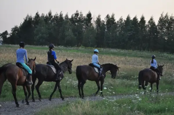 Zawody w jeździectwie w Polsce: jak uczestniczyć i co zobaczyć