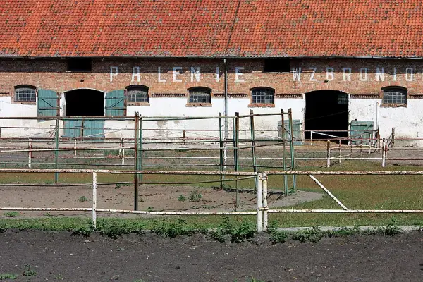 Kadyny stadnina koni - odkryj fascynującą historię i atrakcje